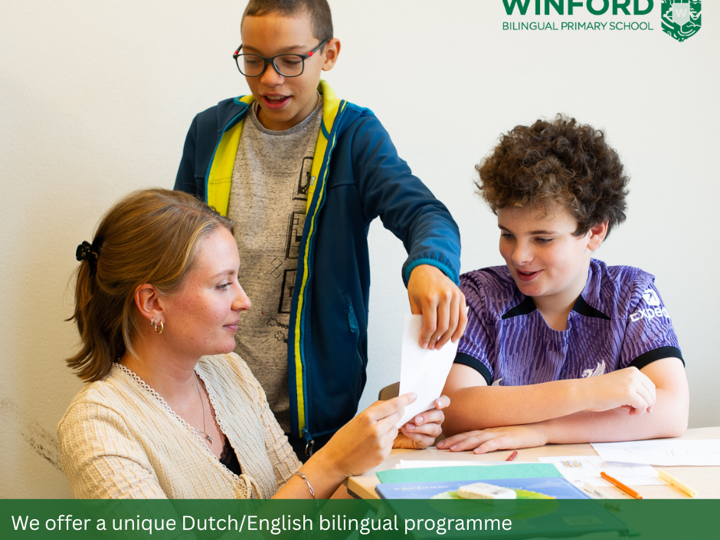 bilingual teaching